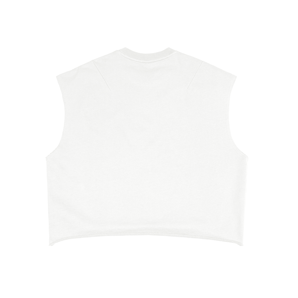 Adventures of Bleu Boxy Tank Top