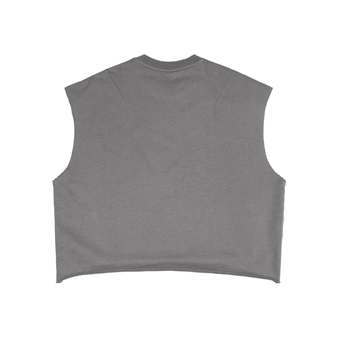Adventures of Bleu Boxy Tank Top